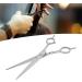 Hair Cutting Scissors Straight Hairdressing Shears Stainless Steel Tool for Home Salon - Buy Online on GoSupps.com