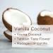 Lavanila Roller Perfume Set of 3 (10ml Each) Includes Pure Vanilla + Vanilla Coconut + Vanilla Grapefruit - The Healthy Fragrance for Women Clean and Natural Pure Vanilla+Vanilla Coconut+Vanilla Grapefruit - Buy Online on GoSupps.com