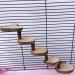Kitabetty Wooden Hamster Ladder Natural Apple Wood Pet Ladder Hamster Climbing Ladder Pet Bridge Toy Pet Climbing Stairs Training Tool Hamster Cage Accessories - Buy Online on GoSupps.com