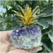 Natural Amethyst Quartz Cluster Crystal Pineapple Specimen Stones Natural Luster - Buy Online on GoSupps.com