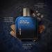Wild Stone Whisky Perfume for Men 100ml|Long Lasting EDP|Woody and Fruity Fragrance|Premium Eau De Parfum - Buy Online on GoSupps.com