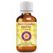 Deve Herbes Pure Pumpkin Seed Oil (Cucurbita pepo) Natural Therapeutic Grade Cold Pressed 30ml (1 oz) 30 ml (1 Pack)