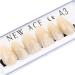 168 Pcs Dental Synthetic Resin Tooth Denture A3 Upper And Lower Acrylic Teeth Sets Acrylic Resin False Teeth for Halloween Horror Teeth - Buy Online on GoSupps.com