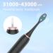 POTICO Sonic Electric Toothbrush for Adults - 8 Brush Heads, Smart Timer, 5 Modes, IPX7 Waterproof, Rechargeable - Black - Buy Online on GoSupps.com