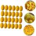 DOITOOL 50pcs Skin Care Tools Decor Blackhead Remove Ball Face Cleansing Cocoons Ball Cosmetic - Buy Online on GoSupps.com
