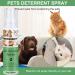 Segminismart Cat & Dog Defense Spray - 120ml Anti-Scratch Spray for Furniture Protection | Scratch-Resistant Solution for Home & Outdoors | 2024 New Arrival - Buy Online on GoSupps.com