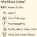 The Divine Foods Premium Filter Kaapi -Roasted & Grounded South Indian Filter Coffee - 100% Peaberry Coffee beans - Buy Online on GoSupps.com