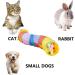 Interactive Cat Tunnel Toy for Indoor Cats - Collapsible S-Style Rainbow Tunnel for Kittens, Rabbits, and Puppies - Buy Online on GoSupps.com