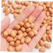 ABOOFAN 2pcs 1 Simulation Peanut Simulated Nut Artificial Groundnut Kernels Fake Dried Fruits Imitation Peanut Adornment Scene Adornment Simulation Fake Fruit Fake Nut Model Corn Pvc - Buy Online on GoSupps.com