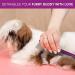 10-Inch Pet Comb with Rounded Stainless Steel Teeth for Comfortable Grooming - Purple - Buy Online on GoSupps.com