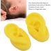 Silicone Ear Model 1 Pair Silicone Ear Human Ear Model Soft Tough Bubble Free Yellow Waterproof Ear Displays Mould Soft Silicone Simulation Human Ear Model Ear Display Teaching Aid Model - Buy Online on GoSupps.com