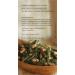 Numi Teas Organic Rice Green Tea | Premium Quality & Flavor - Buy Online on GoSupps.com