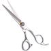 Hairdressing Haircut Kits 6 in Sets Salon Shear Hair Professional Sharp Hair Cutting Thinning Scissors Set Golden Screw - Buy Online on GoSupps.com