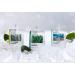 Daymellow Gold Aloe Soothing Gel 10.58 oz - Hydrating & Calming Skin Treatment - Buy Online on GoSupps.com
