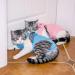 Easy Joy Recovery Suit for Cats - Postoperative Litter Clothing for Abdominal Wounds | E-Collar Alternative | Soft Indoor Pet Apparel (M Blue) - Buy Online on GoSupps.com