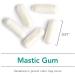 Nutricology Mastic Gum Capsules - 120 Vegetarian Capsules for Digestive Health - Buy Online on GoSupps.com