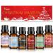 KOHAR NATURALS Premium Christmas Fragrance Oil Gift Set for Diffuser Candle and Soap. Amber Christmas Cookies Christmas Sparkle Christmas Snow Merry & Bright and Spring. 6 x 10 ml