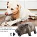 LiebeWH Squeaky Dog Toys - Cute Pig Latex Chew Toys for Dogs & Puppies | International Shipping Available - Buy Online on GoSupps.com