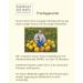Buy Original Styrian Pumpkin Seed Oil G.G.A - 4 x 500ml - Award-Winning Gourmet Oil - International Shipping Available - Buy Online on GoSupps.com