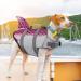 Emust Shark Whiskers for Dogs - Adjustable Ripstop Dog Swimwear | International Shipping Available - Buy Online on GoSupps.com