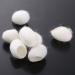 TTSAM 100pcs Natural Silk Cocoons for Facial Cleansing and Massage | Healthy Skin Care Scrub | Facial Cleanser Balls - Buy Online on GoSupps.com