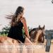 Horses Massage Comb Horse Grooming Washing Brush Strip Hair Gentle Groomer for Dogs Comb Grooming & Shed Removing Dried Loose Hair - Buy Online on GoSupps.com
