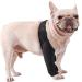 ifundom Comfy Brace Dog Knee Comfortable Dog Knee Protector Front Legs The Dog Auxiliary Belt S As Shown - Buy Online on GoSupps.com