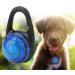 LED Dog Light Pendant Keychain - Flashing Safety Trailer Lights for Camping & Hiking (Blue) - Buy Online on GoSupps.com