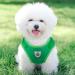 Femax Soft Mesh Dog Harness & Linen Set - Adjustable Reflective Breathable Breastware for Puppies & Cats | Green (30-34 cm) - Ideal for Walking Running & Training - Buy Online on GoSupps.com
