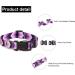 Suredoo Adjustable Nylon Dog Collar - Soft Comfortable & Stylish for Small to Medium Dogs (Neck 38-63 cm Width 2.5 cm) - Buy Online on GoSupps.com