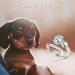 EJALEN 925-Sterling-Silver Puppy Dog Ring - Forever in My Heart CZ Adjustable Open Dog Jewelry for Women - Buy Online on GoSupps.com
