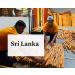 Cinnamon Sticks 50g Alba Grade Premium Quality 100% Natural Ceylon Cinnamon Product from Sri Lanka - Buy Online on GoSupps.com