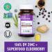 Fermented Zinc Complex for Immune Support & Skin Health - 90 Count (3 Month Supply) - Buy Online on GoSupps.com