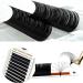Buy Volume Eyelash Extensions 0.05/0.07 | Easy Fan CC/D Curl | 2D-20D Self Fanning Lashes | 8-15mm Length | Long Lasting Blooming Lashes - Buy Online on GoSupps.com