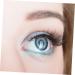 minkissy 10 Pairs False Eyelashes Eyelash Women Natural Eyelashes Self Adhesive Eyelashes Fluffy False Eyelashes Eyelashes False Lashes Natural Curly 7d Imitation Cosmetic - Buy Online on GoSupps.com