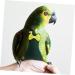 Buy Mipcase Flying Bird Diapers - Pet Pee Pads for Pigeons Chickens & Parrots | Cotton Clothing & Costumes - 20x11cm - Buy Online on GoSupps.com