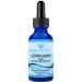 Absonutrix LionClarity Dmae with Lions Mane Mushroom Liquid 390 mg 4 FL Oz Liquid 302 Servings Made in USA Plant-Based Ingredients DMAE Lion s Mane Huperzine A Green Tea Extract Non-GMO