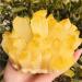 Home Decoration 600-700g New Find Yellow Phantom Quartz Crystal Cluster Specimen 1pc Stones - Buy Online on GoSupps.com