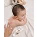 VIVAIODAYS Organic Apricot Oil Nourishing Face & Body Lotion - 3.4 fl oz - Buy Online on GoSupps.com