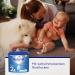 Aptamil Evening Bottle Follow-On Milk - Baby Milk Powder (400g Pack of 4) | Best for 6+ Months - Buy Online on GoSupps.com