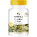 Warnke health products pumpkin seeds extract (10: 1) 500 mg with NAT.Vitamin E and selenium 250 capsules large pack 1 -pack (1 x 190 g)