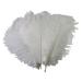 OstrichFeather Wedding Decor | Natural OstrichPlumes | Feather Accessories for Clothing Wedding Feather Centerpieces OstrichFeather Bouquet Bulk Ostrichfeathers