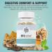 IBDassist IBS Relief Supplement - Digestive Health Support - Non GMO Gluten Free - Made in USA - Buy Online on GoSupps.com