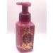Danburry Shortbread Gentle Foaming Hand Soap 8.75 Ounce Full Size Pump Bottle Wash