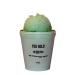 Fox Gold Beauty Fairy Dust sugar scrub- Pistacho cake scented -Moisturizing and Exfoliating Body Hand Foot Scrub Vegan Cruelty Free Organic Great Gifts For Women 200 ml