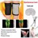 KEDUODUO Self-Heating Knee Pads | Magnetic Therapy Leg Massage Belt for Arthritis & Joint Pain Relief - Buy Online on GoSupps.com