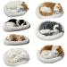 Bagima Sleeping Cat Toys | Breathing Plush Cat Dolls & Soft Mats | Perfect Home D cor & Kids' Gifts - Buy Online on GoSupps.com