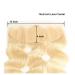 Mila 100% Remy Human Hair Lace Frontal 613# Blonde Body Wave Closure 13x4 with Baby Hair - 12/30cm - Buy Online on GoSupps.com