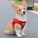 LOOK ANDE HOUSE Reflective Soft Padded Dog Dishes for Small Dogs & Cats - Air-Mesh Design with Leash - XS Red (Chest 24-27cm) - Buy Online on GoSupps.com
