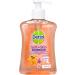 Breez Kids Soft on Skin Dispenser Hand Soap Grapefruit Fragrance (6x 250mls) Antibacterial Soap Scented Soap for Children. Bulk Hand Sanitiser for Kids Box of Kids Hand Soap. - Buy Online on GoSupps.com